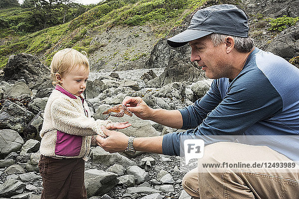 Father puts sea star in toddler girl's hand near rocky tidepools at Patrick's Point State Park  California.