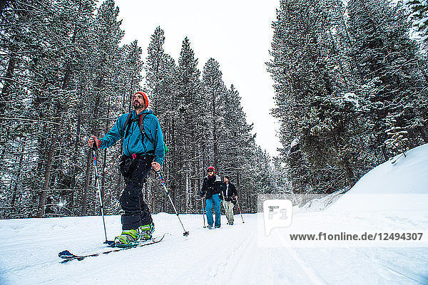 Three people skiing on a snowy trail in Jackson Hole  Wyoming.