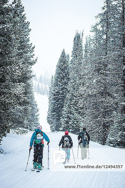 Drei Personen wandern auf einem schneebedeckten Weg in Jackson Hole  Wyoming.
