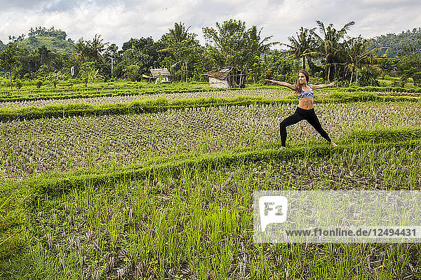Junge sportliche Frau praktiziert Yoga in den Reisfeldern auf der Insel Bali  Indonesien
