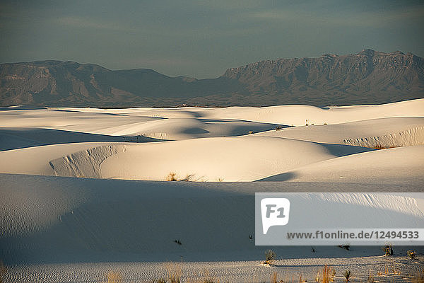 Früher Morgen im White Sand Dunes National Park in New Mexico.