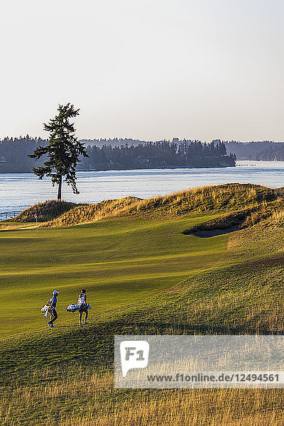 Golfer auf dem Chambers Bay Golfplatz  Austragungsort der US Open 2015  in der Nähe von Tacoma  WA  an einem sonnigen Abend.