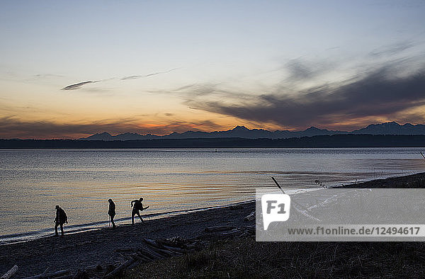 Silhouette Of People Standing On Puget Sound During Sunset In Washington  Usa