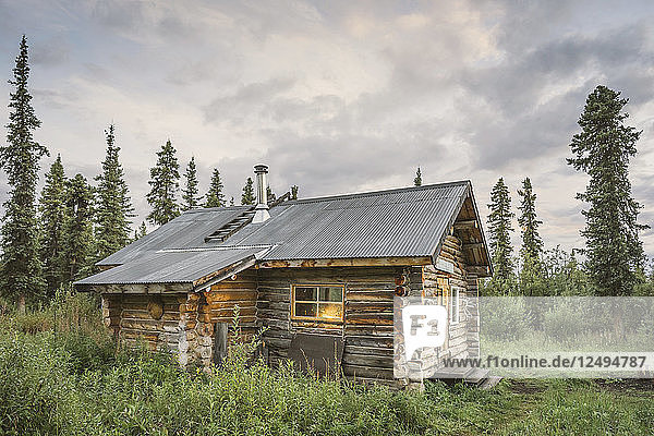 Viking Lodge  eine öffentlich zugängliche Hütte in den borealen Wäldern des Wrangell-St. Elias National Park and Preserve Alaska