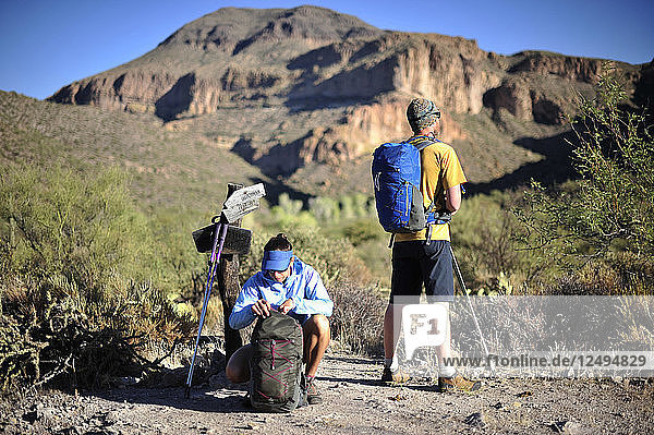 Ein Mann und eine Frau wandern im November 2011 auf dem Dutchmans Trail in der Superstition Wilderness Area  Tonto National Forest in der Nähe von Phoenix  Arizona. Der Weg verbindet sich mit dem beliebten Peralta Trail und bietet eine spektakuläre Tour durch die raue Sonoran-Wüste.