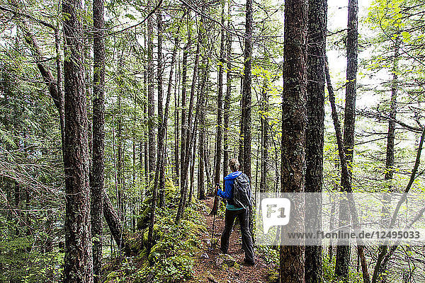 Female Hiker Walking Through The Forest Trail Near Seattle  Washington