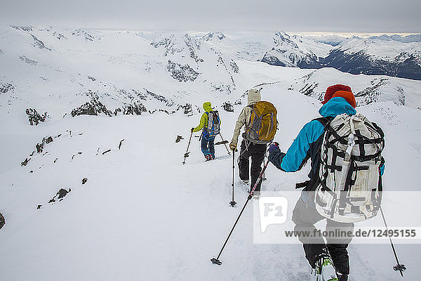 Skifahrer fahren nach dem Aufstieg zu einem Gipfel in den Coast Mountains während der Spearhead Traverse in Whistler  British Columbia  Kanada  einen Grat hinunter.