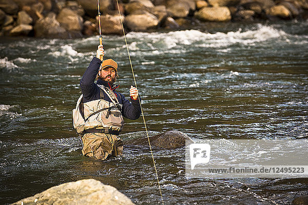 Ein Fliegenfischer zieht einen Fisch in Squamish  British Columbia  an Land.