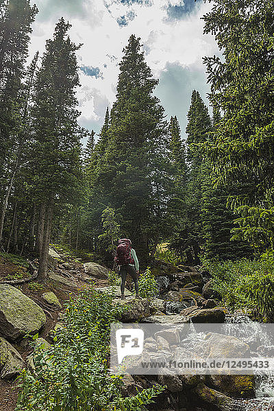 Backpacker Hiking In The Forest Of Longs Peak