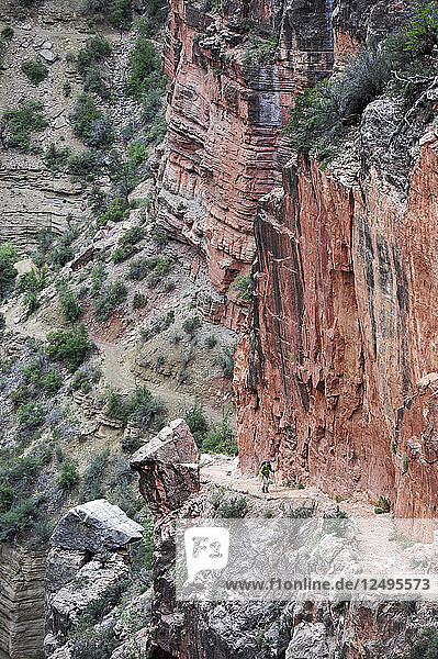 Wanderin auf dem North Kaibab Trail im Grand Canyon National Park  Arizona  Mai 2011. Der North Kaibab Trail beginnt am Kopf des Roaring Springs Canyon am Nordrand und endet am Colorado River  wo er sich mit dem South Kaibab Trail als Teil des Arizona Trail Systems verbindet  das den Staat Arizona von Mexiko bis Utah durchquert.
