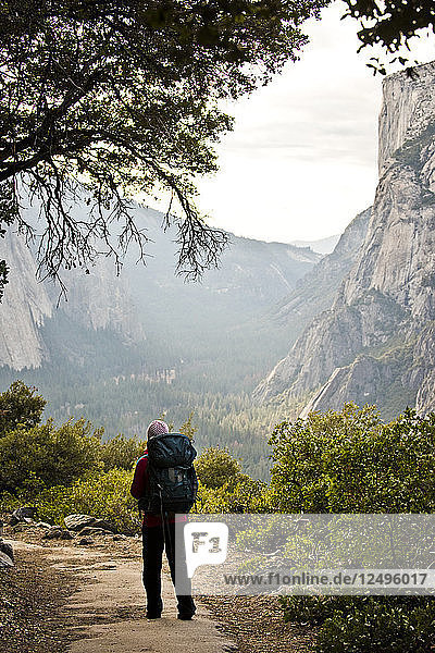 A backpacker hikes up a wooded trail on a sunny day in Yosemite National Park.