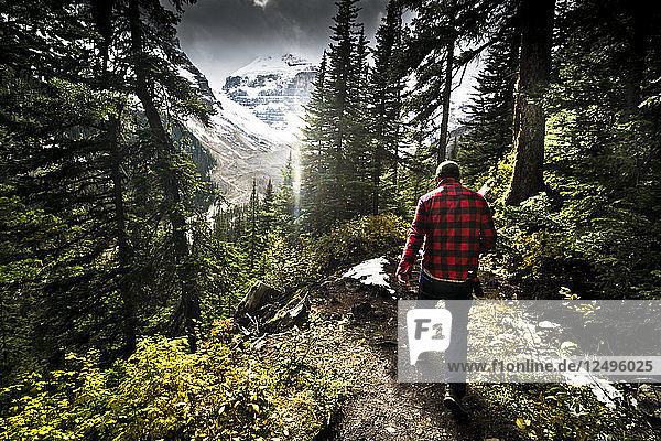 A hiker walking through the woods in Banff National Park  Canada with snow covered mountains in the background.