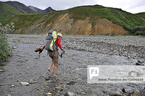 Woman hiker crosses Gorge Creek near Eielson Visitor Center in Denali National Park & Preserve  Alaska July 2011. Much of the backpacking in the park is without trails forcing hikers to favor stream beds and river valleys.