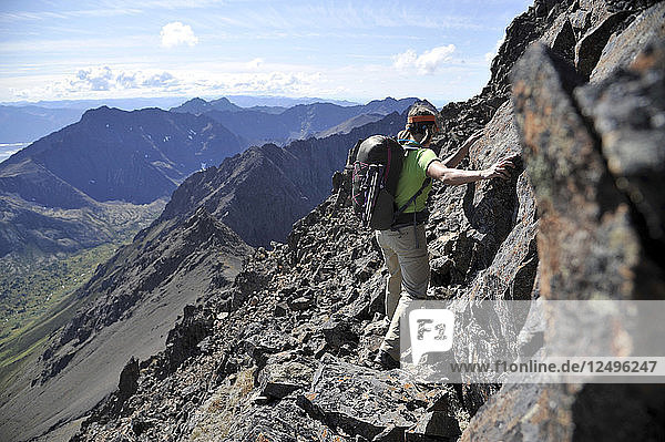 Eine Wanderin erklimmt den Nordostgrat des Mount Williwaw (5445 Fuß)  des höchsten Gipfels in der vorderen Kette der Chugach Mountains in Anchorage  Alaska  im August 2011. Mount Williwaw ist eine Route der Klasse 3 am Ende des Middle Fork Campbell Creek-Tals.