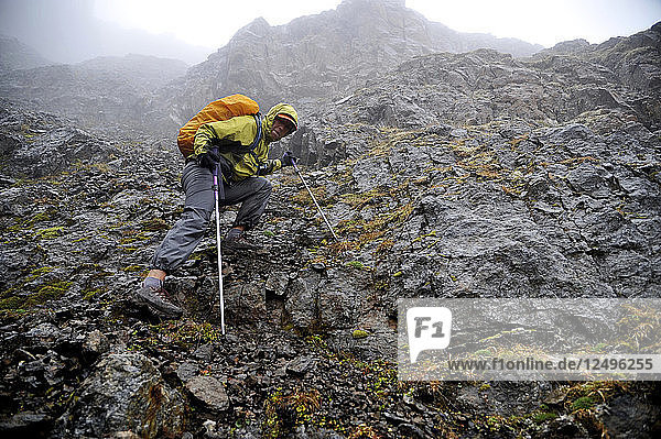 Eine Wanderin steigt eine steile Rinne vom North Suicide Peak in Richtung Rabbit Lake im vorderen Teil der Chugach Mountains in Anchorage  Alaska  im August 2011 hinab.