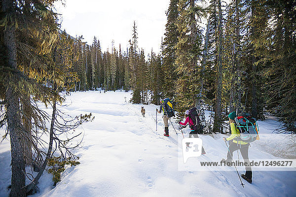 Drei Rucksacktouristen wandern über Schnee in der Coast Mountain Range auf dem Weg zum Joffre Peak in British Columbia  Kanada.