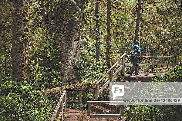 Ein Tourist erkundet den Rainforest Trail im Pacific Rim National Park  British Columbia