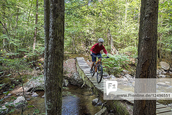 Mann Mountainbiking auf einer langen schmalen Brücke von einem großen Kieferbaum