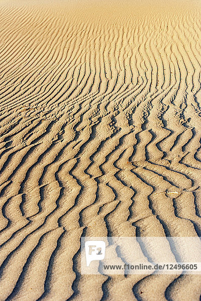 Vom Wind verwehte Linien auf einer Sanddüne in den Mesquite Flat Sand Dunes. Death Valley National Park.