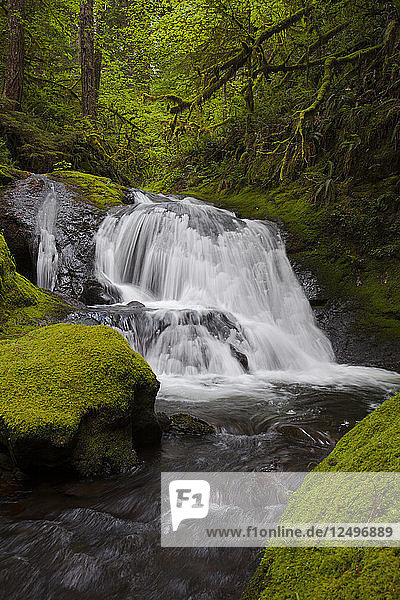 Wasserfall am Duncan Creek in Washington  Verwendung
