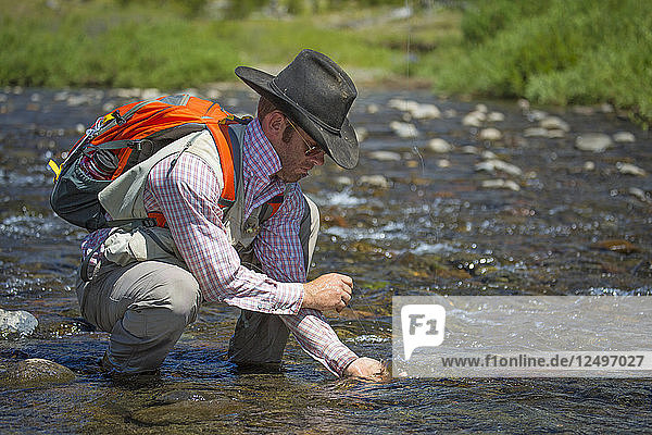 Man Releases Cutthroat Trout While Fly Fishing In River At Montana