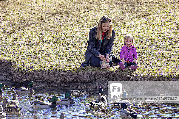 Toddler and mother feeding ducks at the park.
