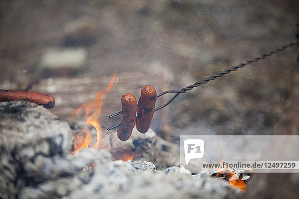 Braten von Hot Dogs über Kohlen und einer Flamme.