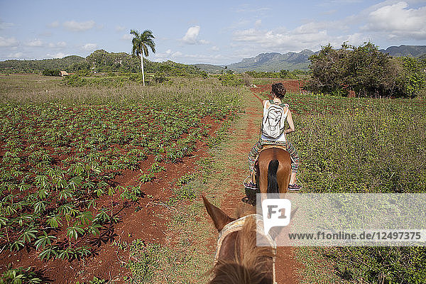 Mädchen reitet ein Pferd in Feld von Vinales Region in Kuba