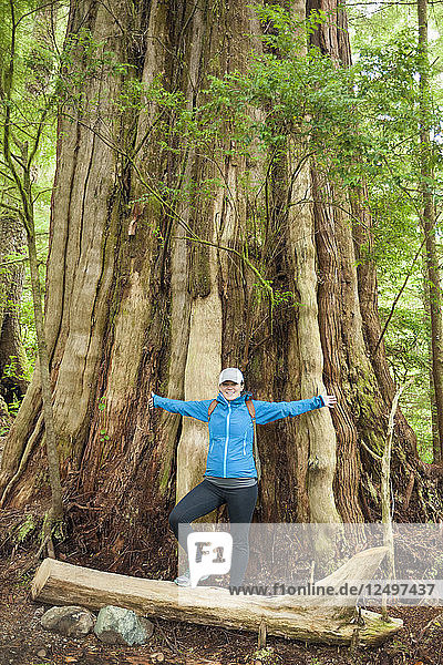 Eine junge Frau steht vor einem riesigen Zedernbaum entlang des Wild Pacific Trail  Vancouver Island  British Columbia