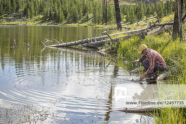 Männlicher Angler entlässt einen Fisch in den See von Montana