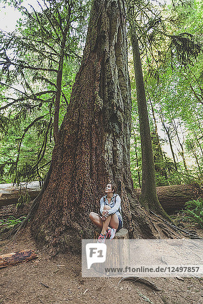 Eine junge Frau sitzt auf einem Baumstumpf unter einer alten Douglasie in Cathedral Grove  Cathedral Grove  British Columbia.