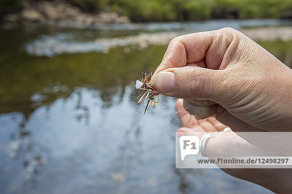 Close-up Of Person Hand Holding Mangled Fishing Fly