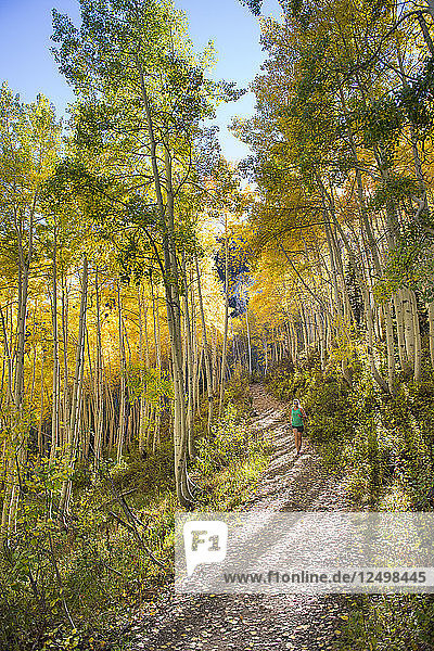 Frau Trail Running an einem sonnigen Herbsttag im Big Cottonwood Canyon in den Wasatch Mountains  Utah