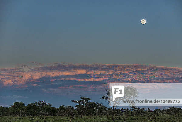 Serengeti-Ebenen bei Vollmond und dramatischem Himmel  Tansania