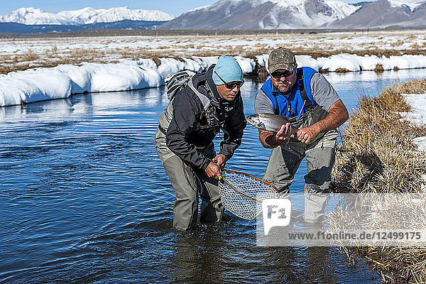 Zwei Fischer fingen einen Regenbogenfisch am oberen Owens River