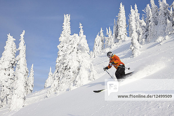 Eine fitte Skifahrerin macht eine Kurve im frischen Pulverschnee im Whitefish Mountain Resort in Whitefish  Montana