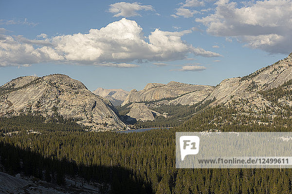 Blick auf die unberührte Landschaft in Tolumne Meadows. Yosemite National Park  CA  USA.