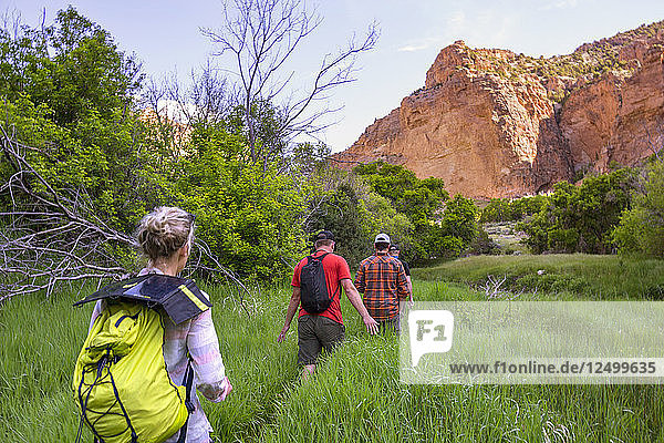 Rückansicht eines Menschen Wandern durch Dinosaur National Monument  Utah  Usa