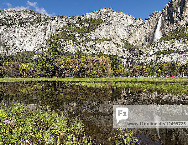 Yosemite Falls reflektiert im Wasser in Cooks Meadow
