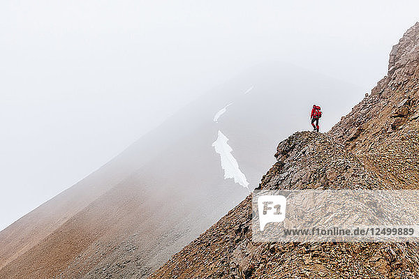 Eine Frau wandert auf einem Bergrücken im Nebel in den Delta Mountains  Alaska Range  Alaska  Usa