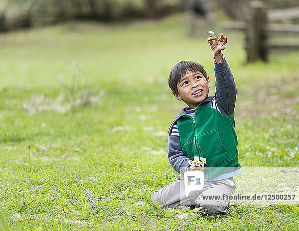 Junger asiatischer Junge  der mit Blumen im Russian Gulch State Park  Kalifornien  USA  spielt