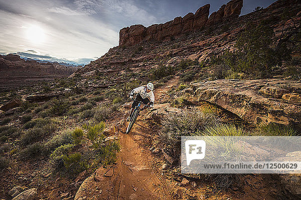 A man mountain biking on the Hymasa trail  Moab  Utah.