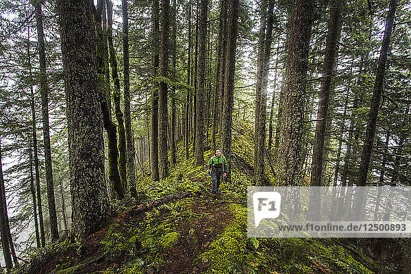 A Man Looking At Trees While Hiking Alone On A Mossy Ridge