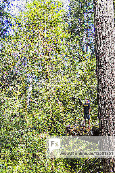 Ein junger Mann  der am Rande eines Baumstamms in einem üppigen Wald in Oregon steht