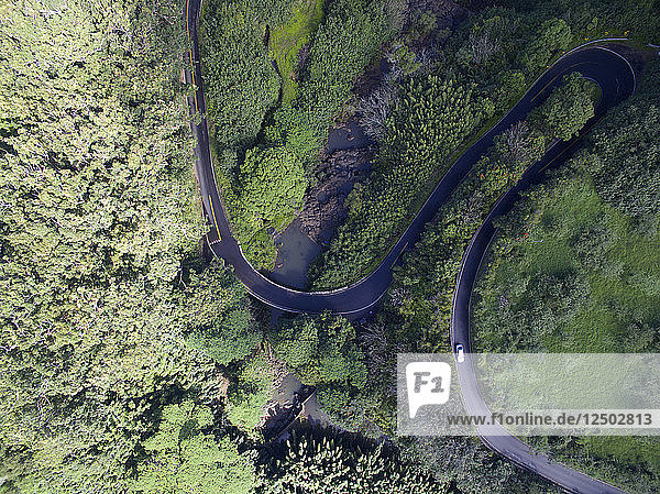 Eine Serpentinenstraße führt auf Hawaii den Berg hinauf