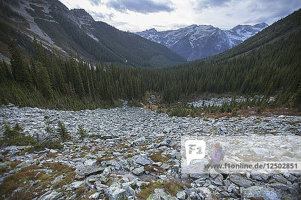 High Angle View Of A Woman Trail Running In Valhalla Provincial Park  Kanada
