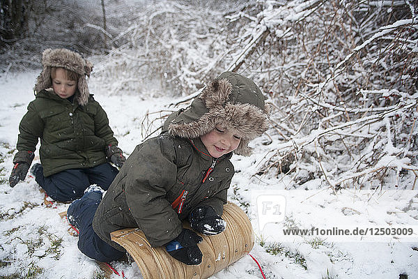 Fünf und sieben Jahre alte Brüder werden in Marblehead  Massachusetts  auf einem Schlitten durch den Wald gezogen.