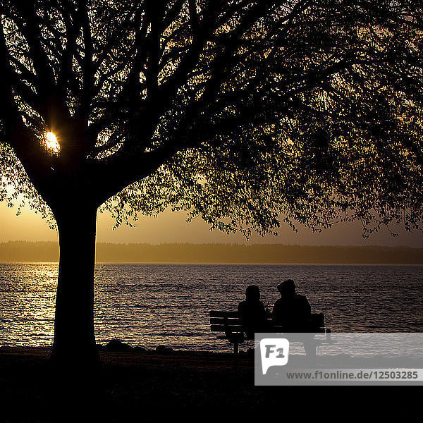 Silhouette of couple sitting on bench near river at dusk