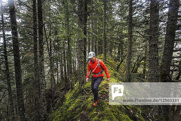 A Man Hiking On A Mossy Ridge In The Forest