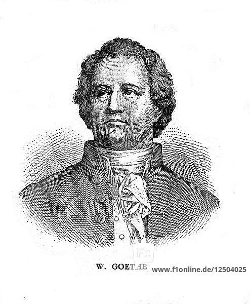 Johann Wolfgang von Goethe  German poet  dramatist and scientist  19th century. Artist: Unknown